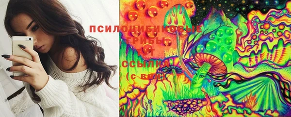 бошки Арсеньев