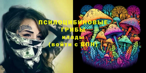 кокс Покачи